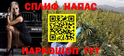 PSILOCYBIN Малоярославец