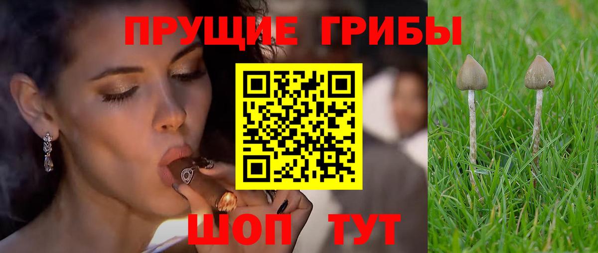 Галлюциногенные грибы прущие грибы  Вход с VPN  Шахты 